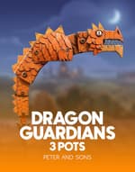 Dragon Guardian: 3 Pots