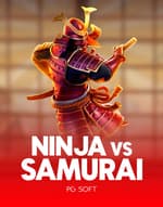 Ninja vs Samurai