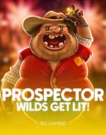 Prospector Wilds: Get Lit!