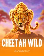 Cheetah Wild